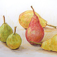 特別授業ー色鉛筆