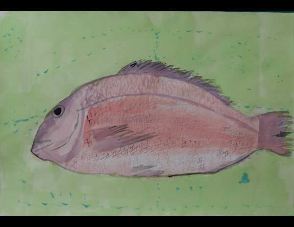 子ども観察ー斉藤